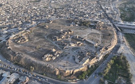 زیاتر لە 650 بیانی لە کەرکوک دەستگیرکراون